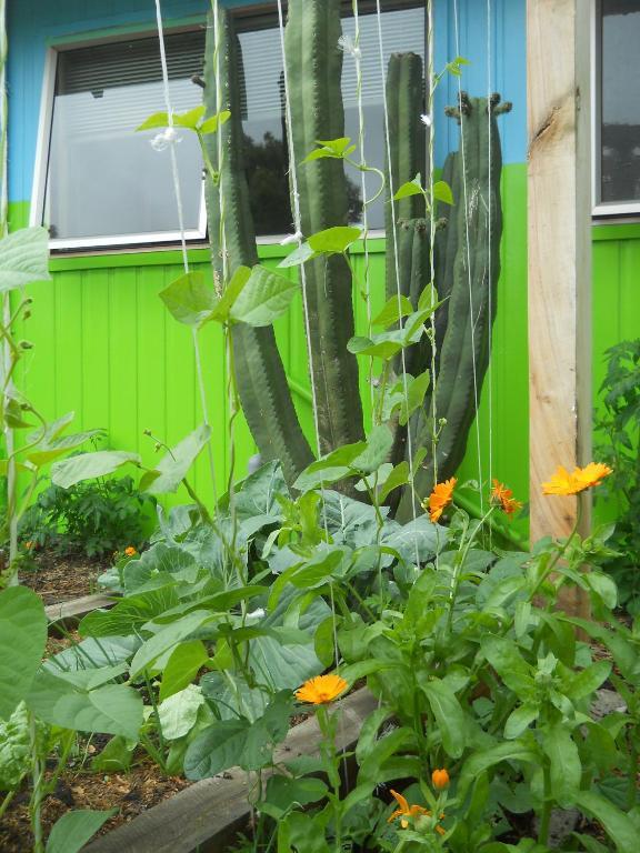 Katikati Motel Екстер'єр фото